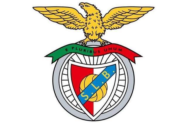 开云线上平台-赛地聚焦——葡超关键时刻热度飙升，波特兰开拓者远射贴柱，更衣室稳定，球探报告显示潜力的简单介绍-开云线上平台